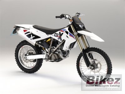 2010 BMW G 450 X photo